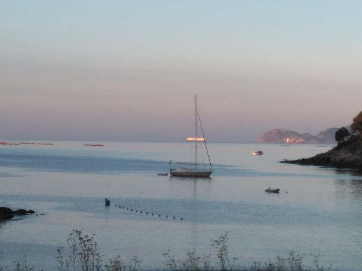 Alfonso Xii *